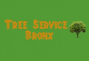 Bronx-Tree-Company-877-572-5009